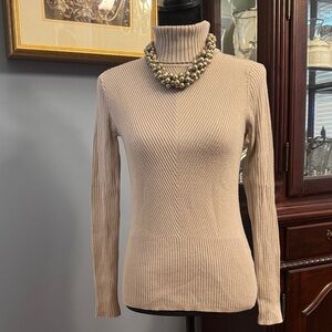 Fitted Ribbed Turtleneck Sweater